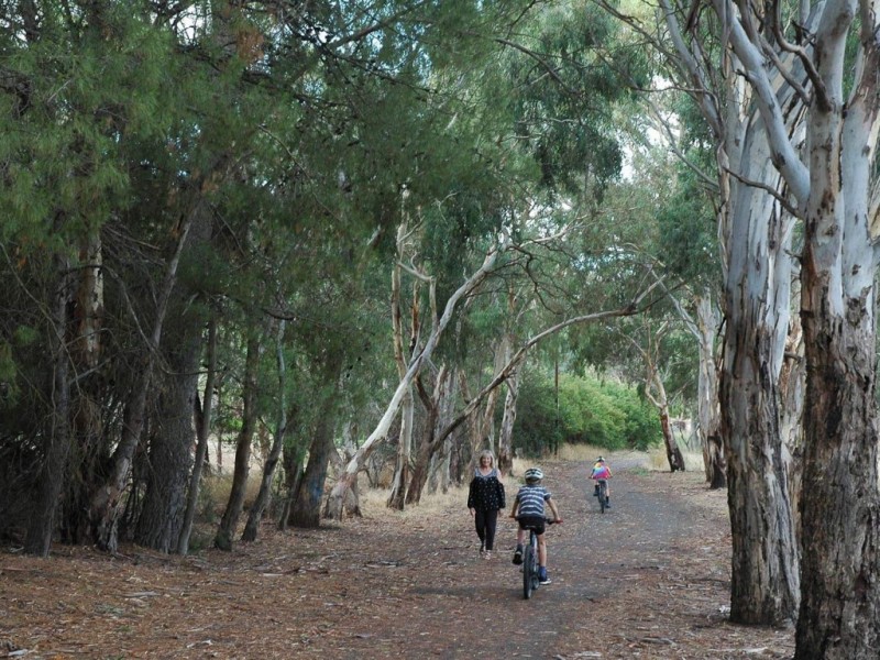 16 Fairbrother Cct, Nuriootpa SA 5355