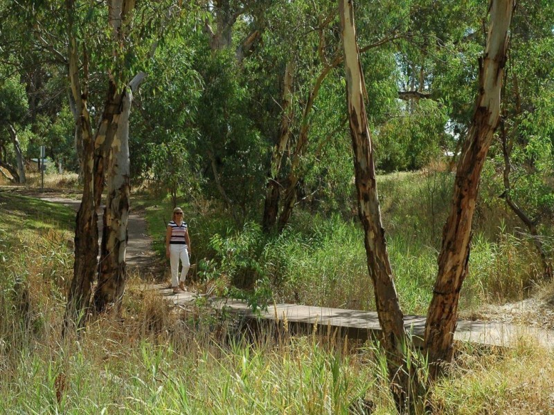 16 Fairbrother Cct, Nuriootpa SA 5355