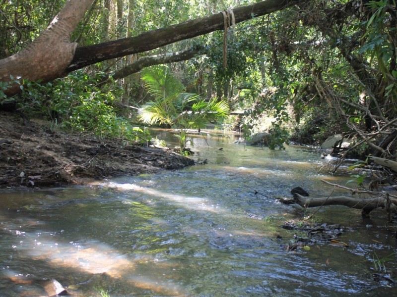 247 Yaxleys Road, Byfield QLD 4703