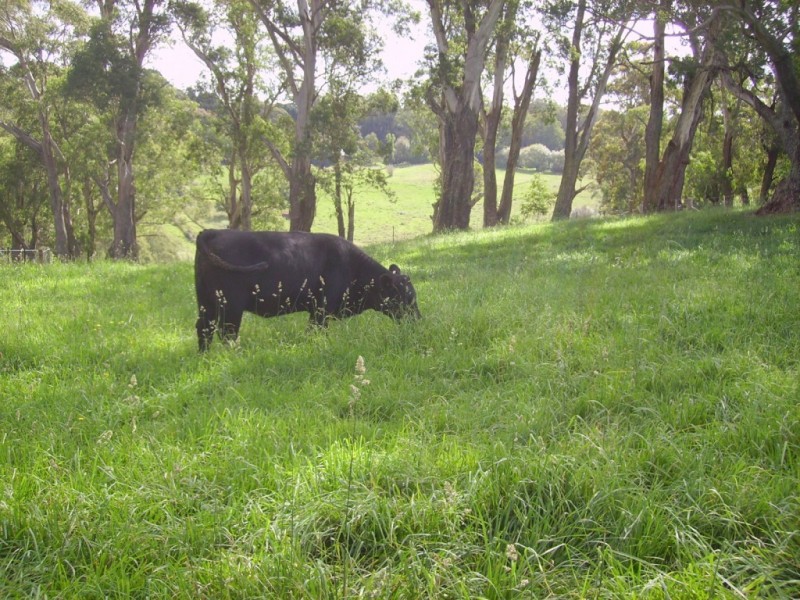 94 Rockleigh Road, Exeter NSW 2579