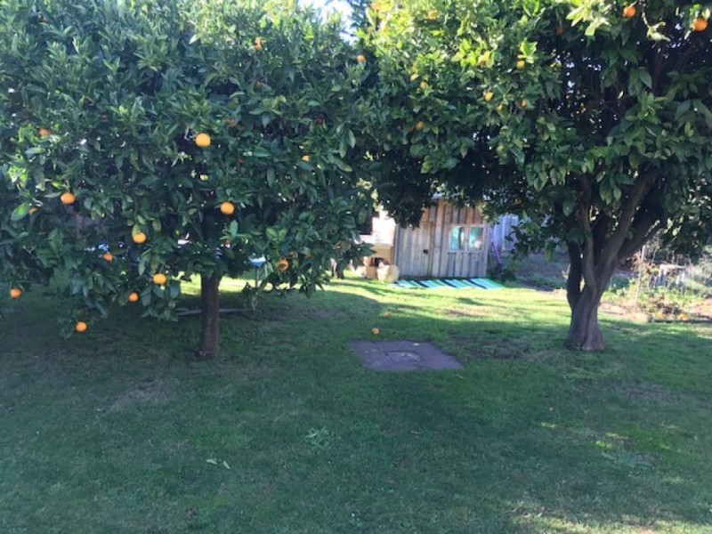 21 Johnson Ave, Drouin VIC 3818