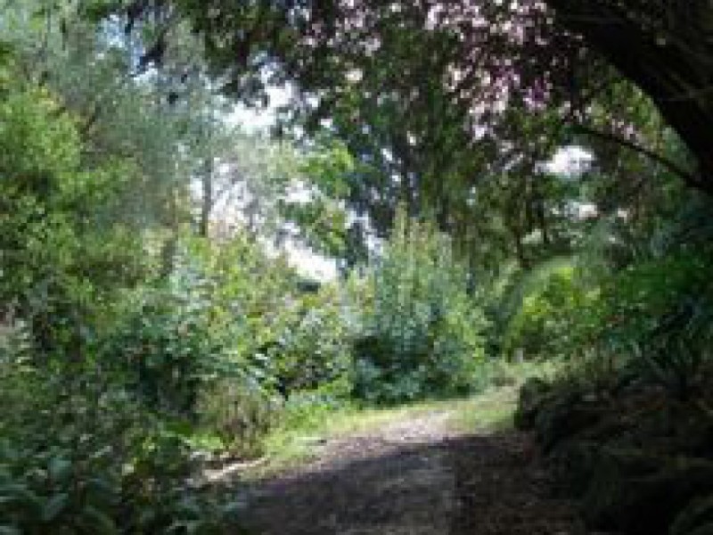 29-33 Milne Road, Park Orchards VIC 3114