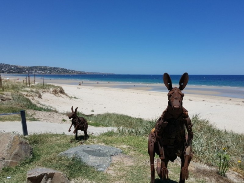 13/120 Esplanade, Brighton SA 5048