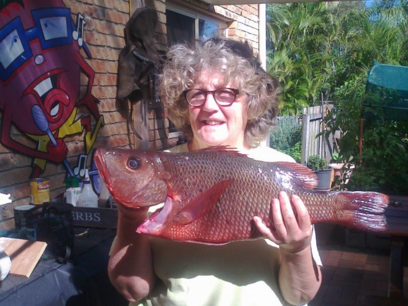 1/81 Andrew Avenue, Pottsville NSW 2489