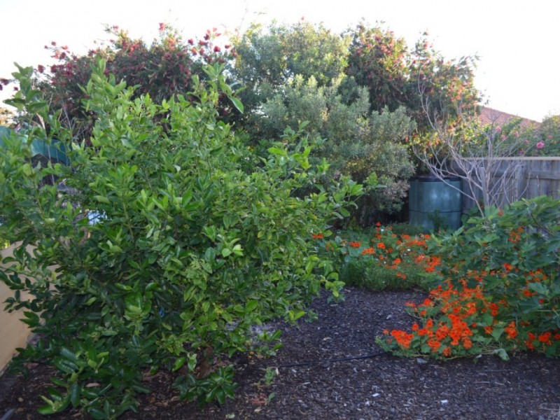 4 Country Road, Pinjarra WA 6208