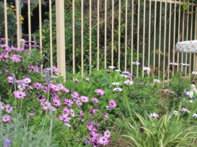 4 Beamish Court, Meadow Springs WA 6210