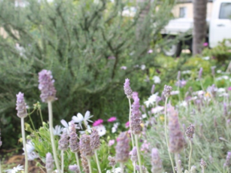 4 Beamish Court, Meadow Springs WA 6210