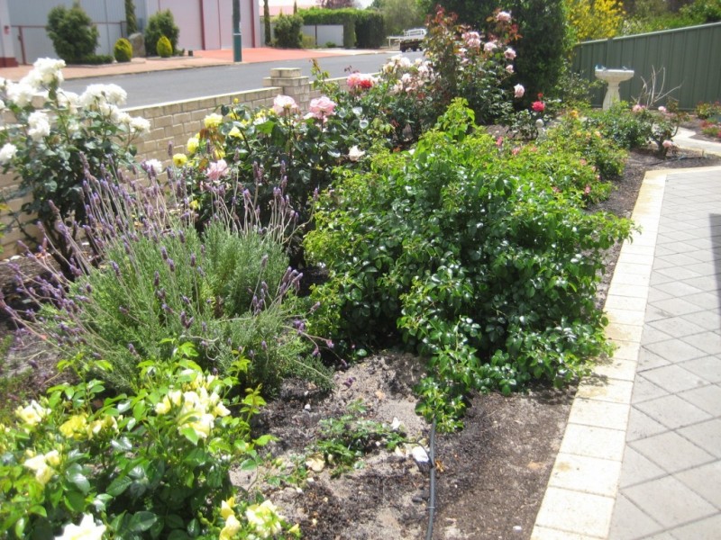 8 Traverse Street, Wagin WA 6315