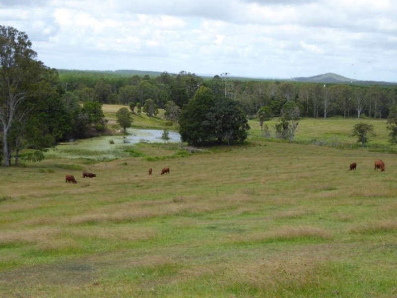 1934 Pomona Kin Kin Road, Coondoo QLD 4570