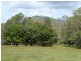 1934 Pomona Kin Kin Road, Coondoo QLD 4570
