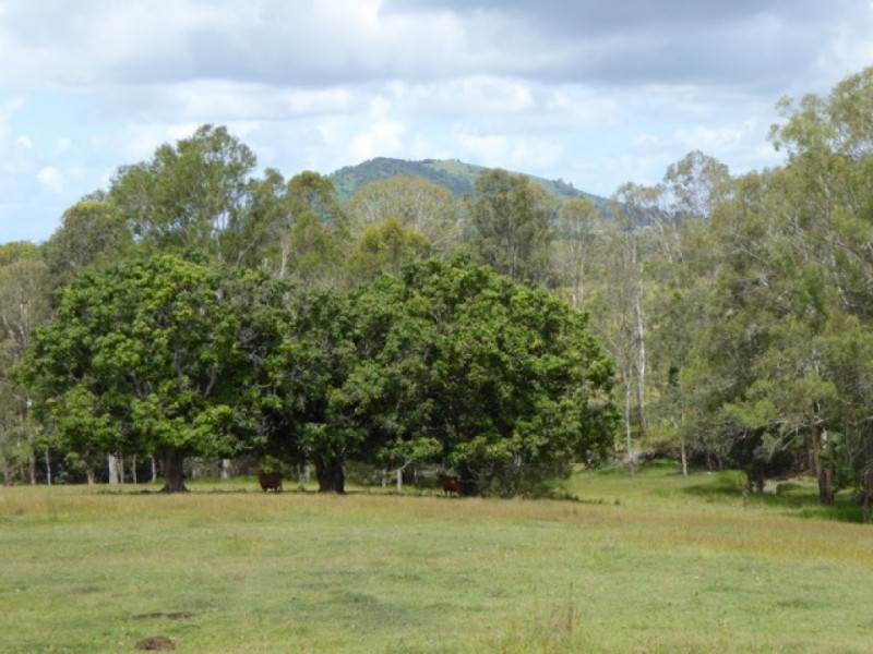 1934 Pomona Kin Kin Road, Coondoo QLD 4570