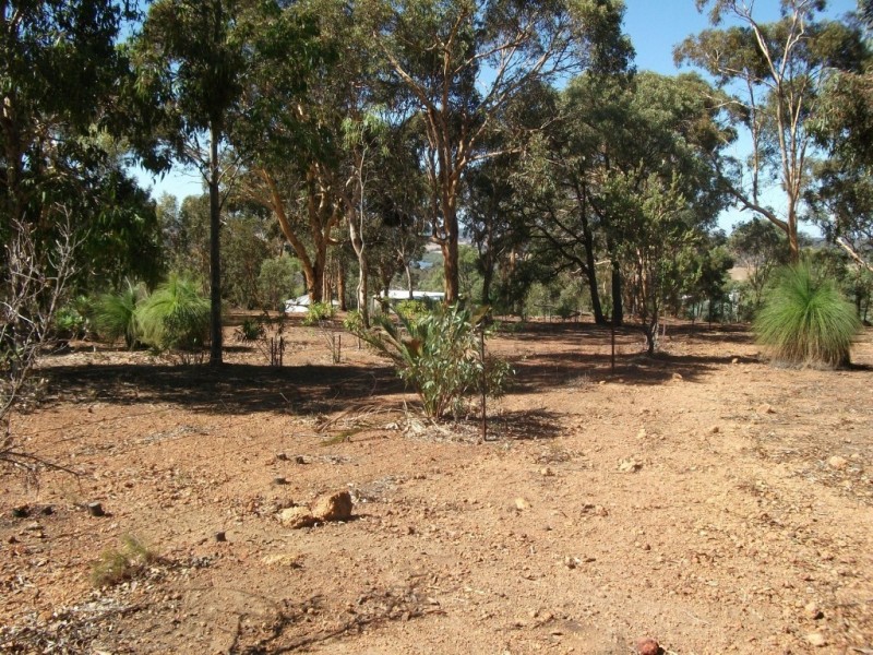 170 Hart Drive, Chittering WA 6084