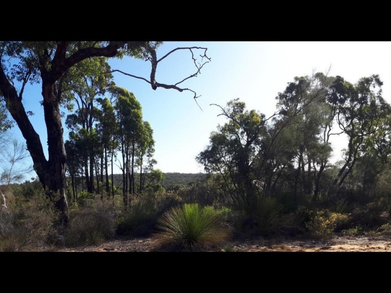 40 Adenanthus Road, Toodyay WA 6566