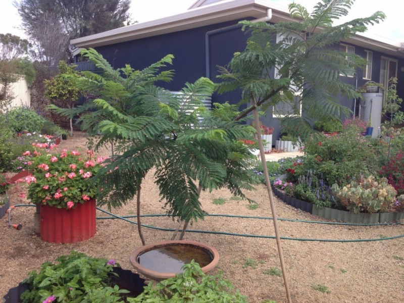 17 Ramm Road, Mannum SA 5238