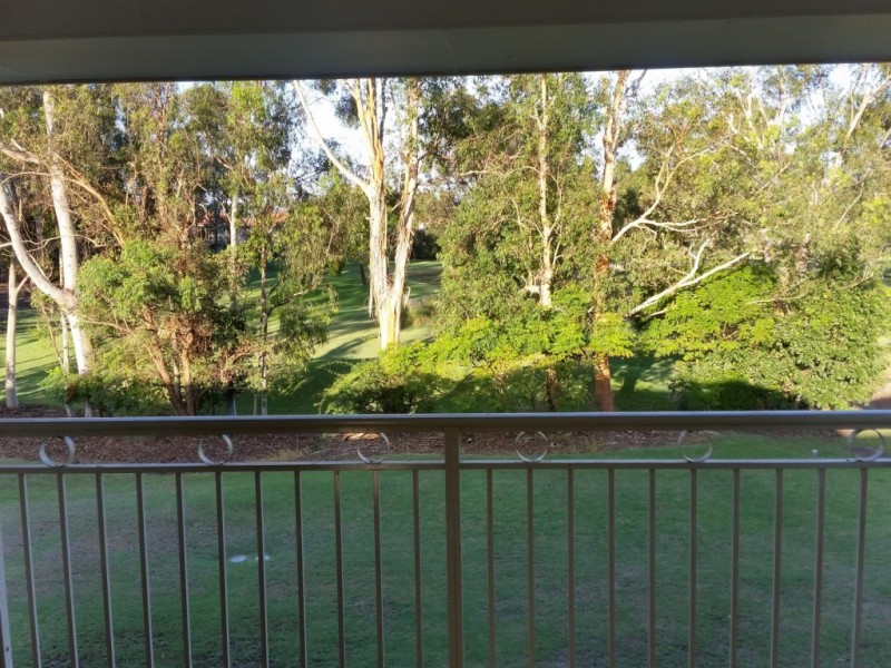 8146 Magnolia Drive West, Hope Island QLD 4212