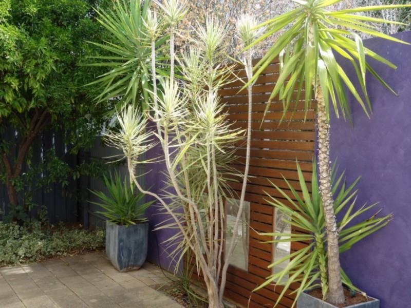 3/50 Chatham Road, Keswick SA 5035