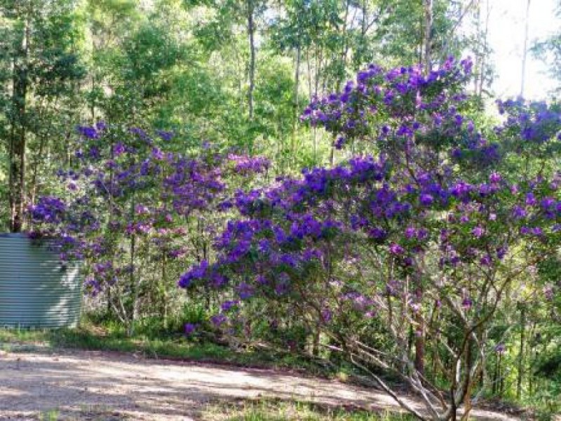 312 Long Point Drive, Lake Cathie NSW 2445