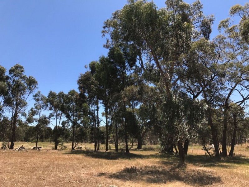 116 Mandurang South Road, Mandurang South VIC 3551