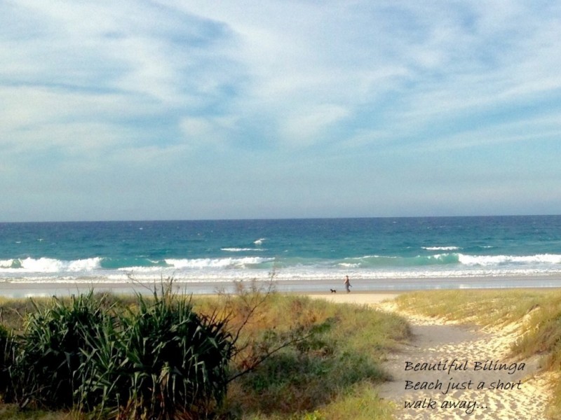 310 Adina Avenue, Bilinga QLD 4225