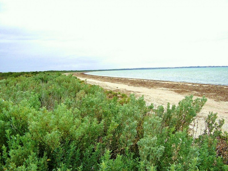Sec. 266 Coast Road ( extension ), Warburto SA 5556