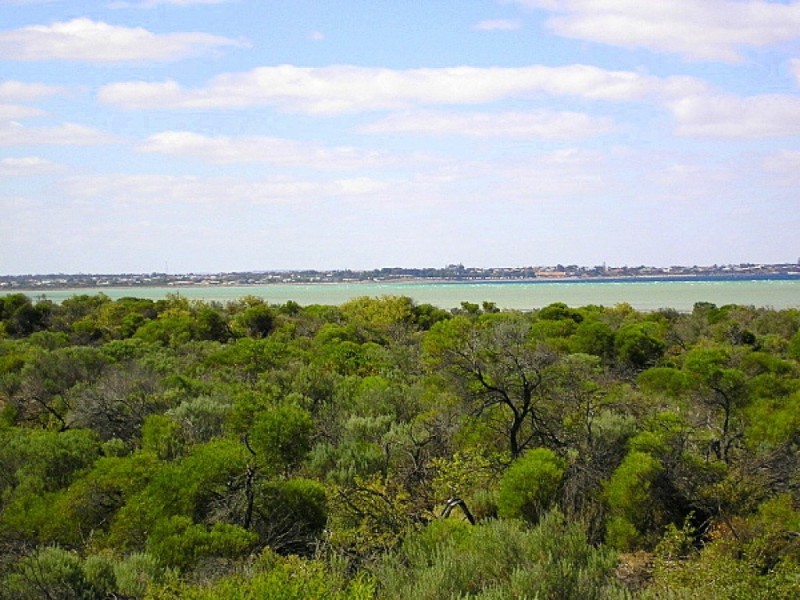 Sec. 266 Coast Road ( extension ), Warburto SA 5556