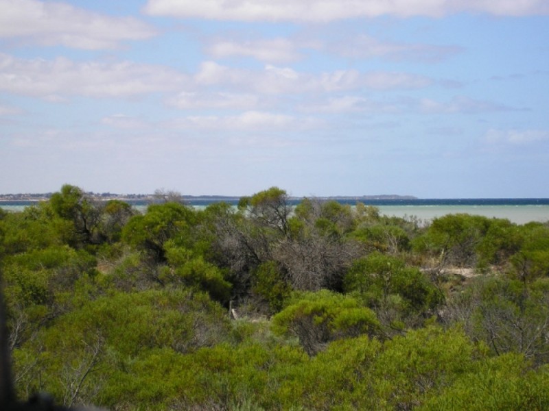 Sec. 266 Coast Road ( extension ), Warburto SA 5556