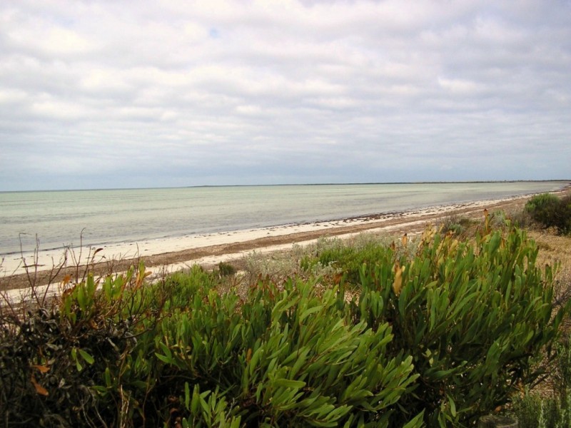 Sec. 266 Coast Road ( extension ), Warburto SA 5556