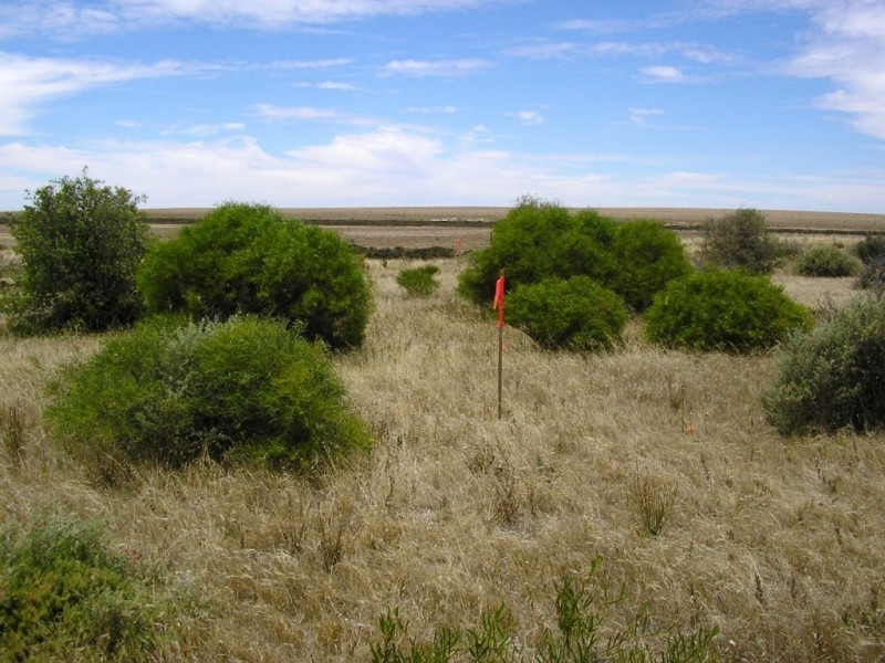 Sec. 266 Coast Road ( extension ), Warburto SA 5556