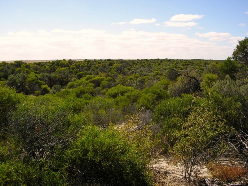 Sec. 266 Coast Road ( extension ), Warburto SA 5556