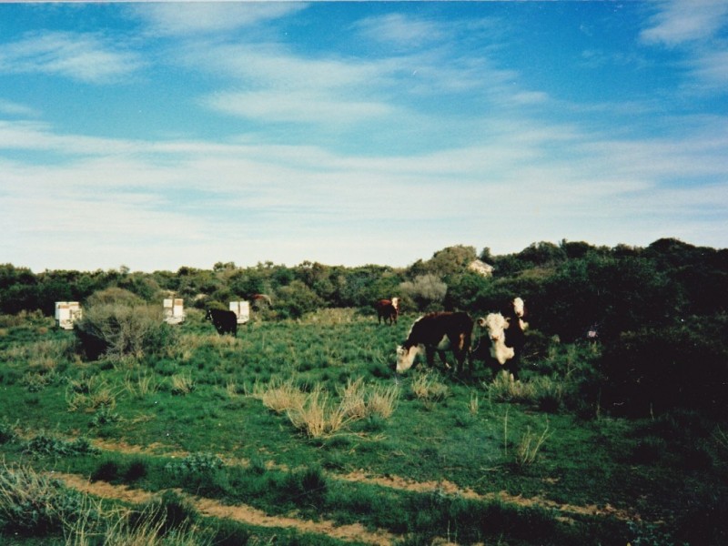 Sec. 266 Coast Road ( extension ), Warburto SA 5556