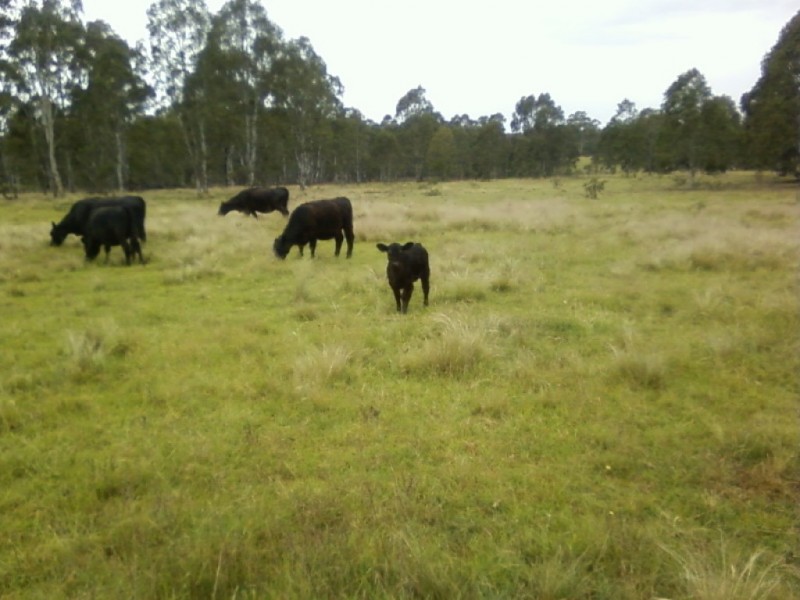 763 Jerrara Road, Marulan NSW 2579