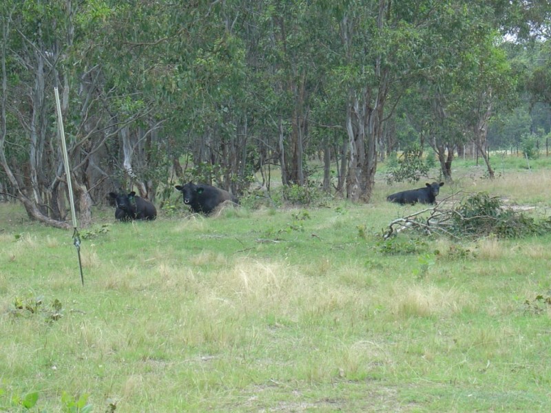 763 Jerrara Road, Marulan NSW 2579