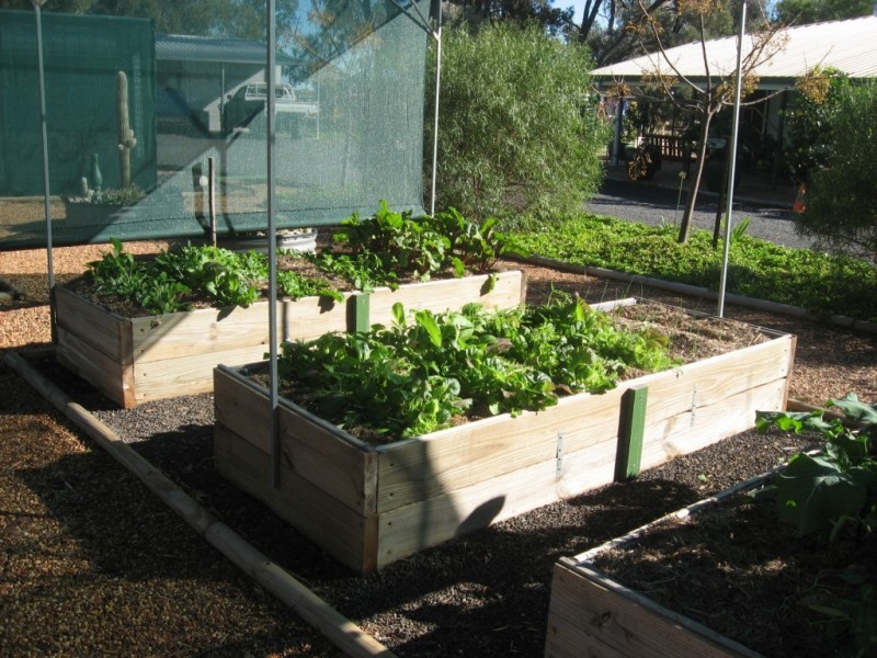 9 Walton Street, Meandarra QLD 4422