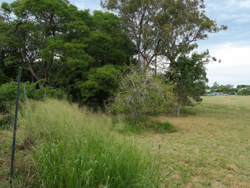 29 Aberdare Street, Darra QLD 4076