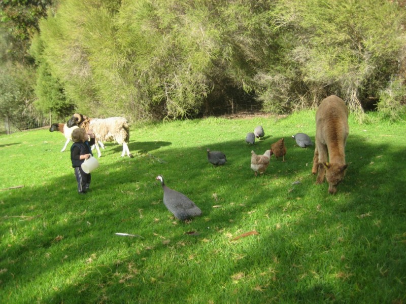 616 Collie River Road, Burekup WA 6227