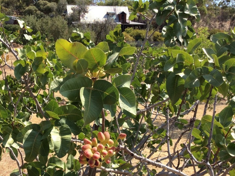 263 Bayly Road, York WA 6302