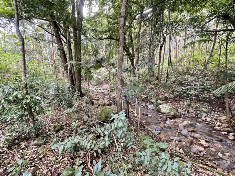 183 Killabakh Creek Road, Killabakh NSW 2429