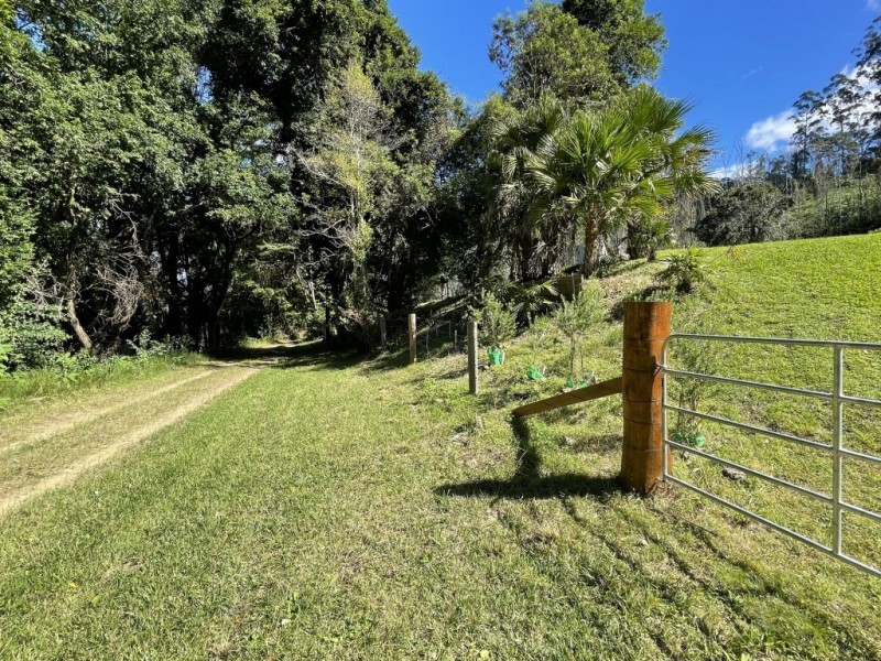 183 Killabakh Creek Road, Killabakh NSW 2429