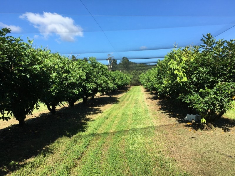 922 Granadilla Road, Granadilla QLD 4855