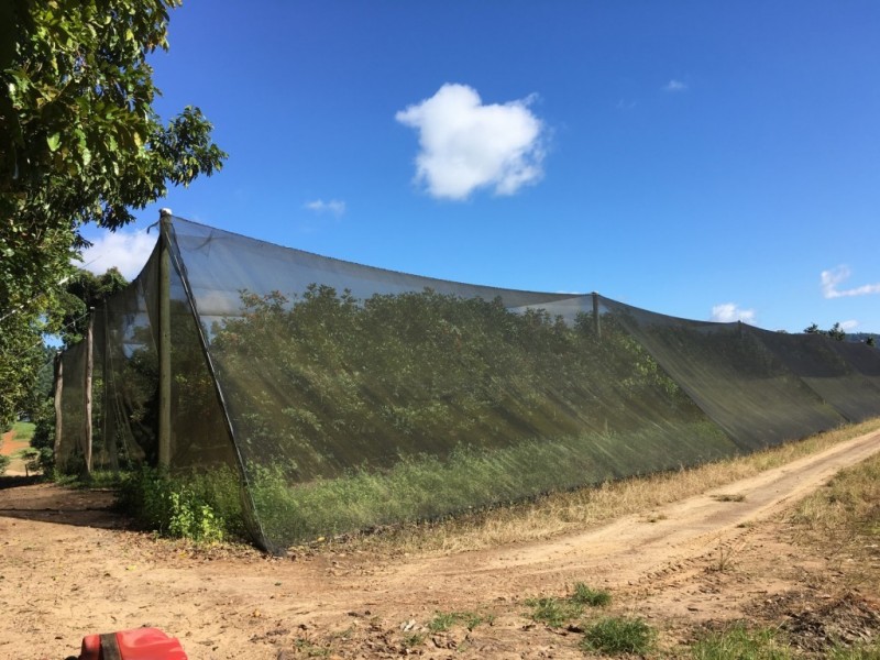 922 Granadilla Road, Granadilla QLD 4855