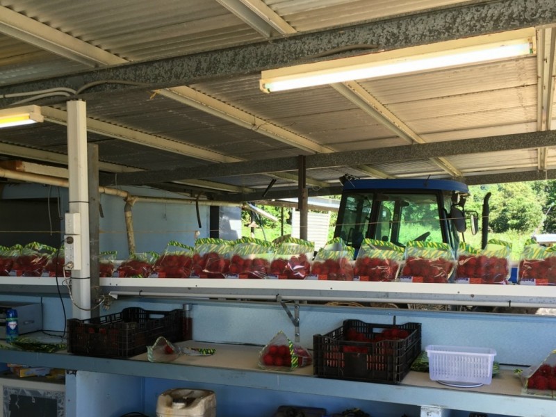 922 Granadilla Road, Granadilla QLD 4855