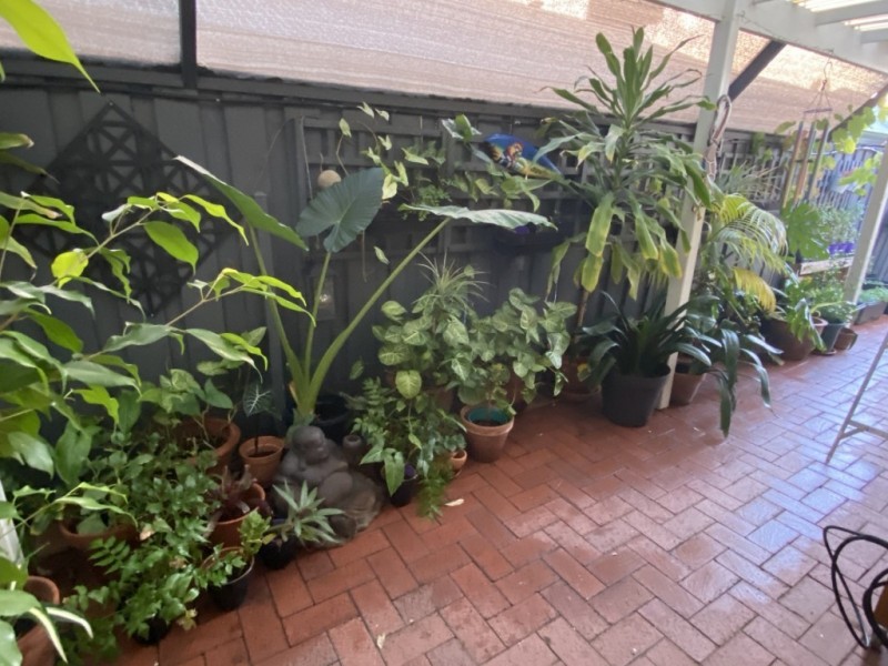 90 Tibradden Circle, Ascot WA 6104