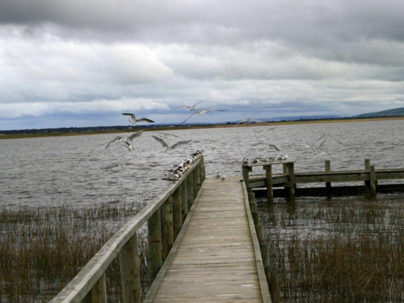 Lot 10 Thorpe Road, Clayton SA 5256