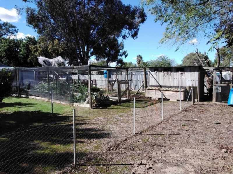 126 Victoria Street, Howlong NSW 2643