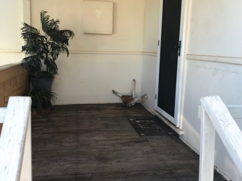 48 Clancy Street, Boulder WA 6432