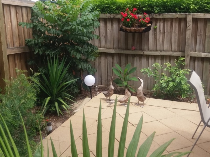 1/55 Bonney Avenue, Clayfield QLD 4011