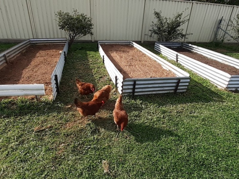 24 Mulwaree Street, Tarago NSW 2580