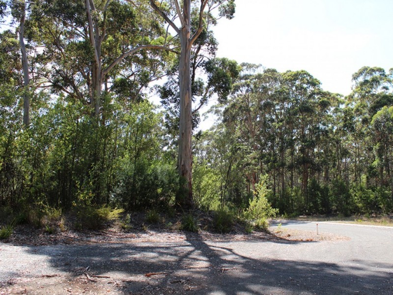 38 Mill Place, Shadforth WA 6333