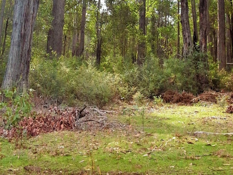 Lot 2147 Mungalup Road, Ferguson WA 6236