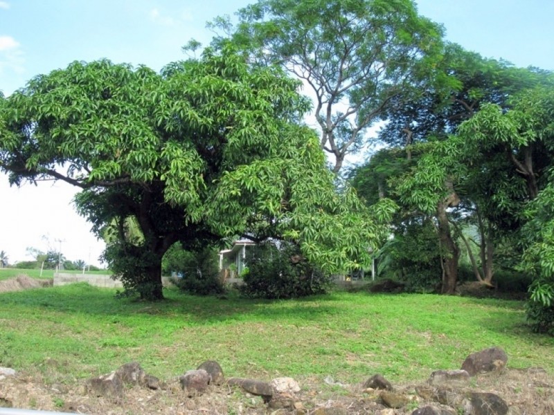 6 Howard Street, Cooktown QLD 4895